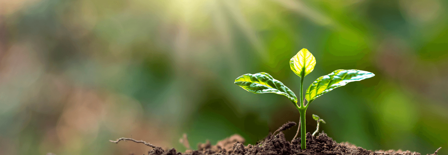 Growth is Quiet: How to Make Silence Work For You